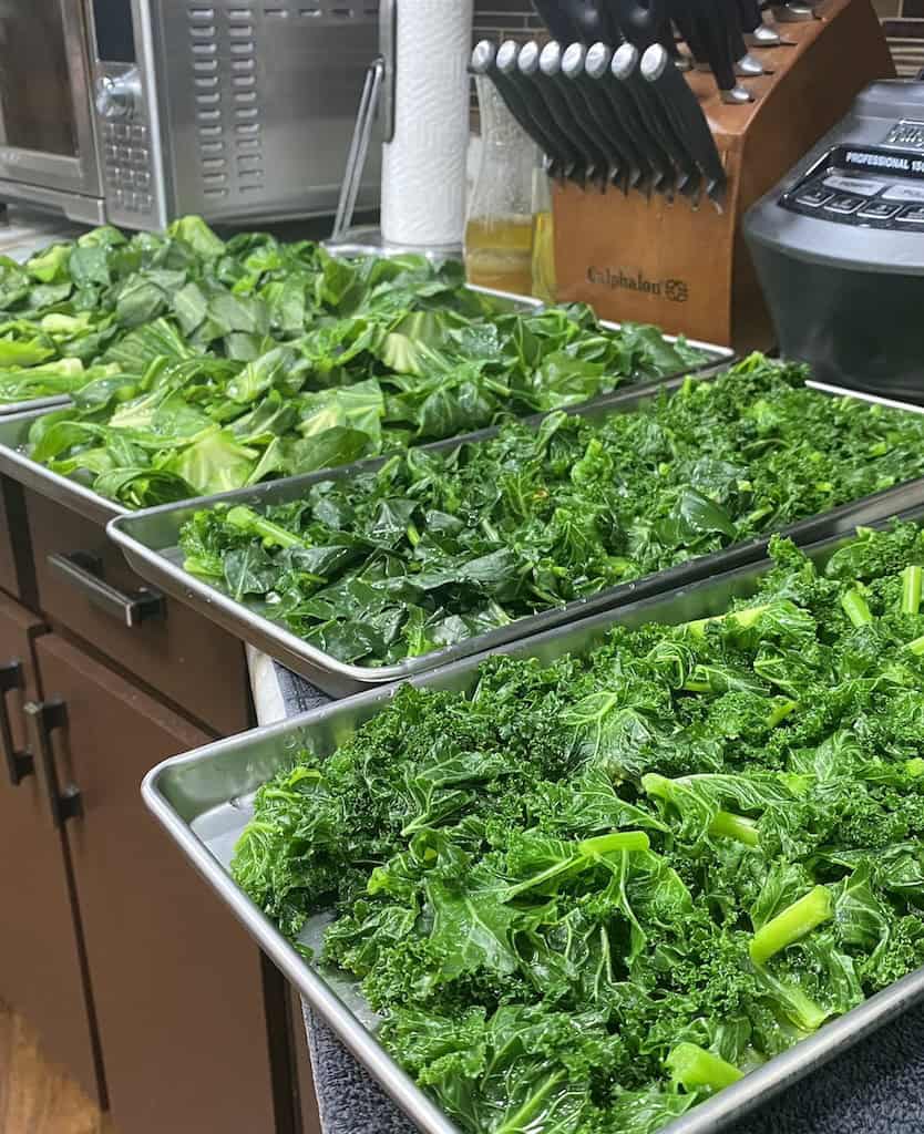 Blanched leafy greens for home gardening and freeze drying food preservation in Florida.